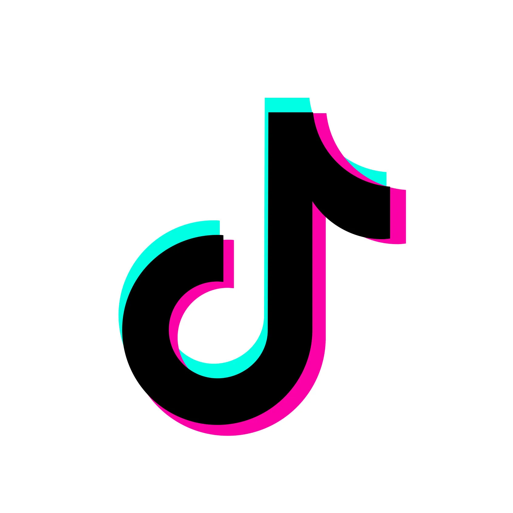 icone tiktok avec lien qui revoie sur le site